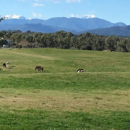 U-casone Apartamento Linguizzetta