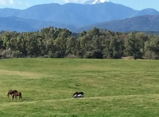 U-casone Appartement