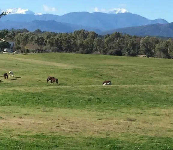 U-casone Appartement Linguizzetta